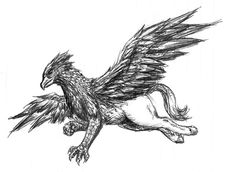 soaring hippogriff